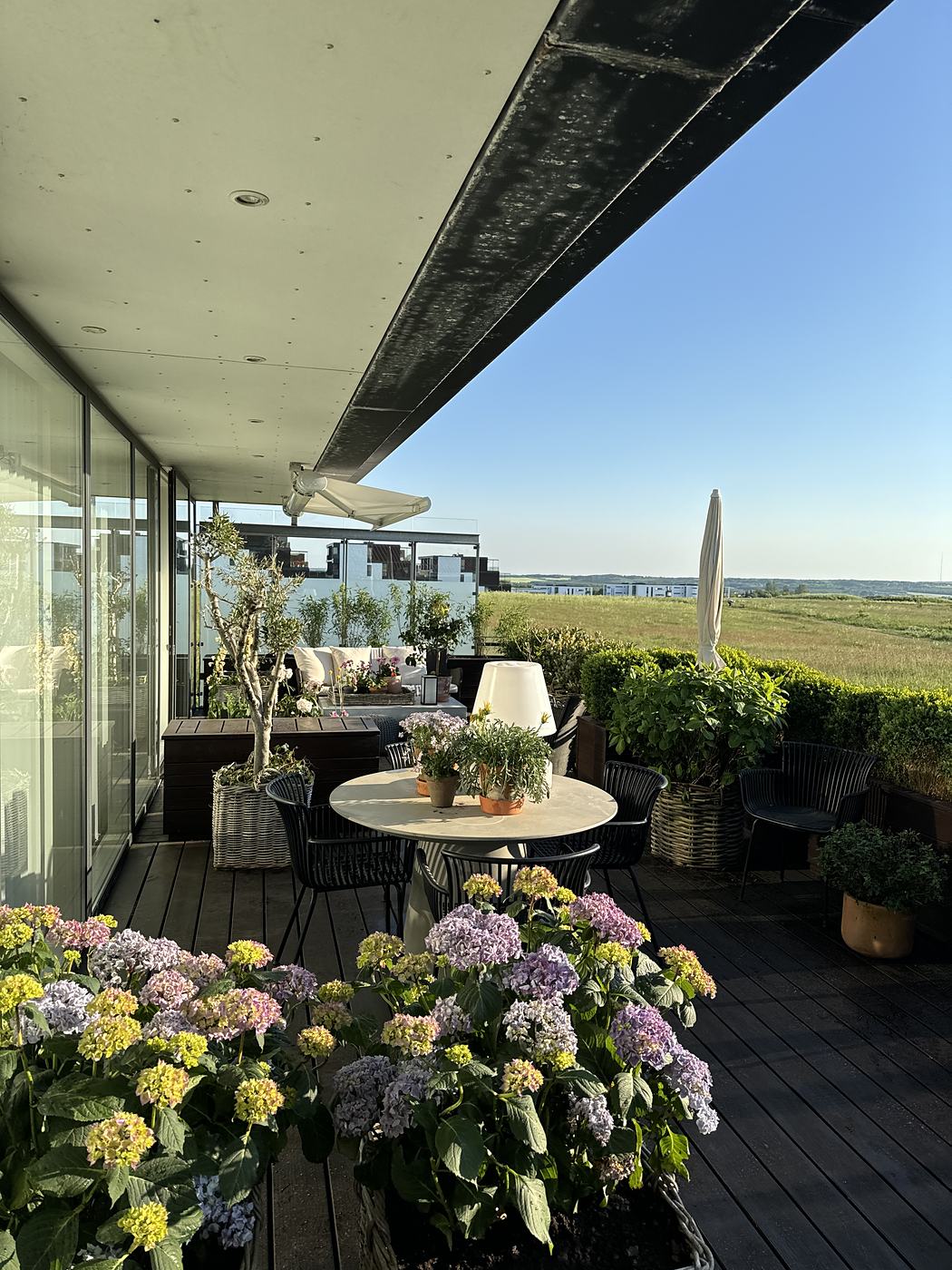 Tagterrasse med hortensiaer og udsigt